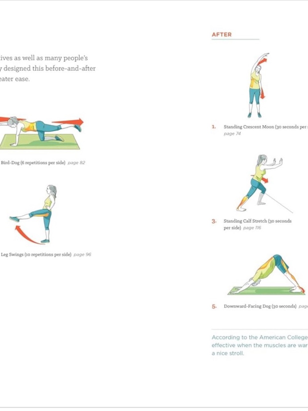 4/$20 Stretching to Stay Young Flexibility Fitness Wellness Exercise Guide Book - Picture 5 of 6